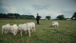 Chase Shakur - too far close (Official Music Video)