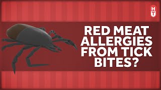 How Can a Tick Bite Make You Allergic to Red Meat?