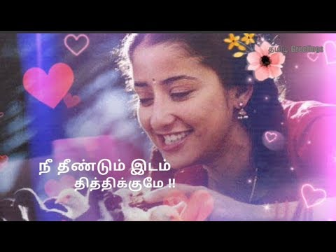 female-voice-குருக்கு-சிறுத்தவளே-என்னக்-குங்குமத்தில்-கரச்சவளே-song-mudhalvan-|-whatsapp-status