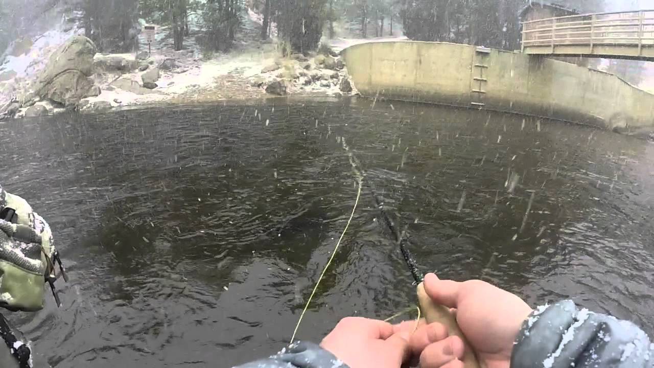 cheesman canyon fishing report
