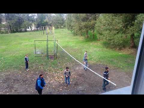 თავისუფალი გაკვეთილი ფრენბურთში