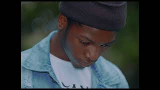 Burna boy - Wild dreams feat. Khalid short colored vid Dir kile