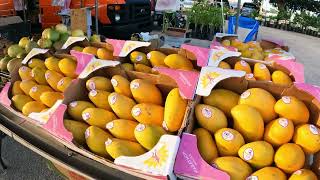 Farmer market in Tampa Florida