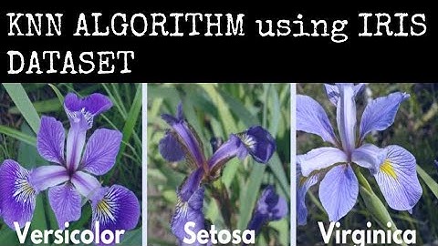 Implementation of KNN Algorithm using Iris Dataset in Jupyter Notebook | JAcademy