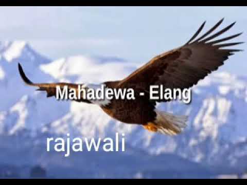 Lagu Aku Ingin Terbang Tinggi