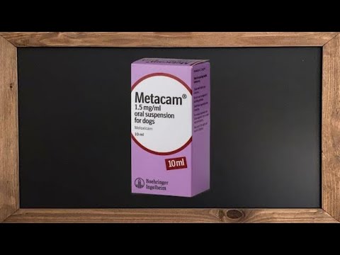 Meloxicam (Metacam)