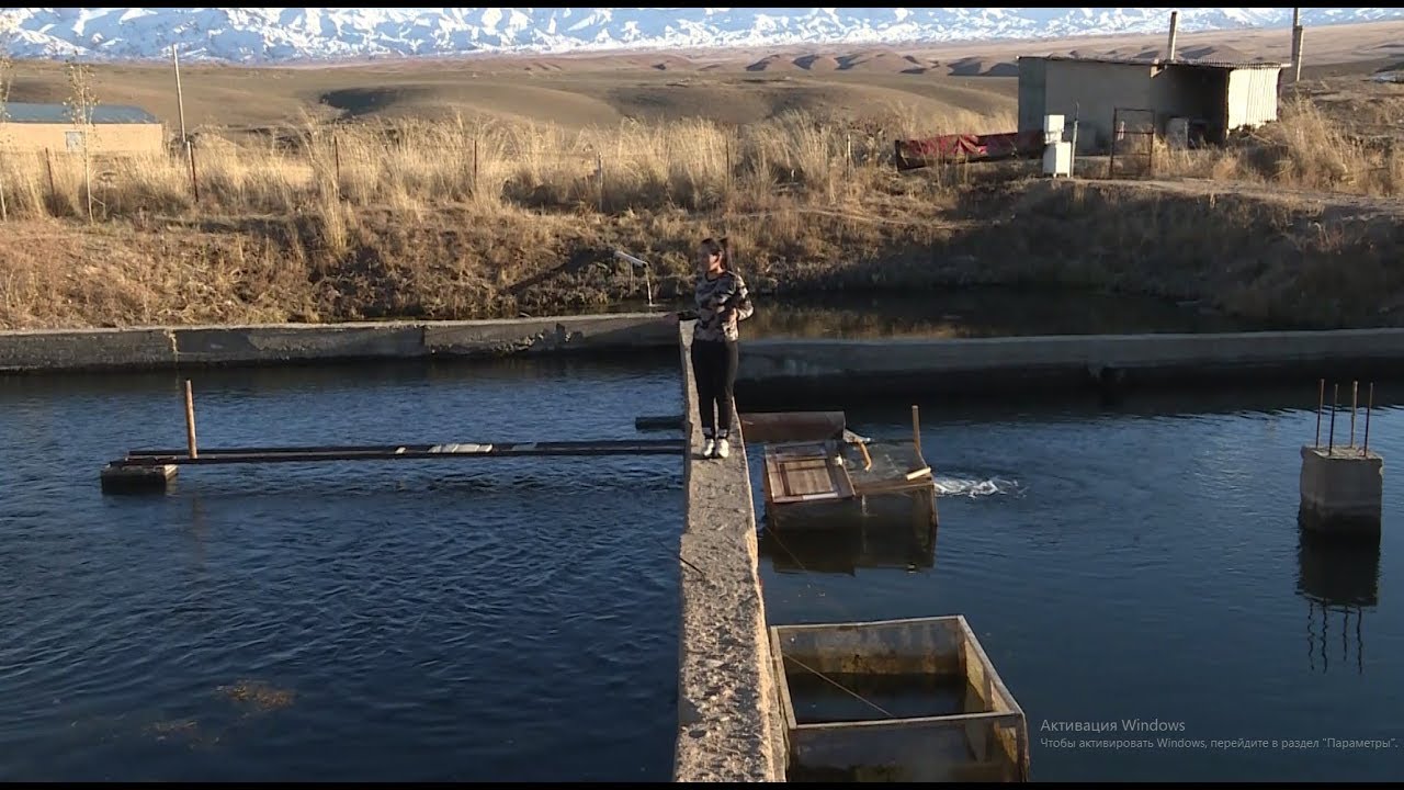 Айылда жөн отурбагандар. Түгөл-Сай айылы. Таң маанай