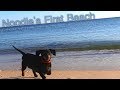 Fort Morgan Vlog (Noodle's First Beach Trip)