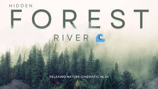 Hidden Forest River🌊| Relaxing Nature Cinematic in 4K