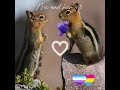 Me and her !! 🍳🍓 || #fypシ゚viral #wlw #mylove #girlfriends