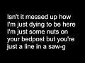Fall Out Boy - Sugar We're Going Down (MISHEARD LYRICS)