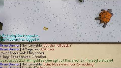 [ Runescape ] Armadyl Warriors Drop Log