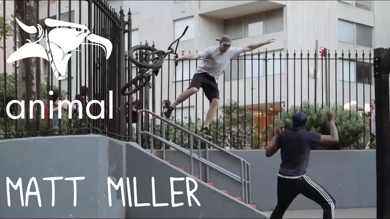 adam lz 350z BMX - ANIMAL BIKES: FACTS - MATT MILLER