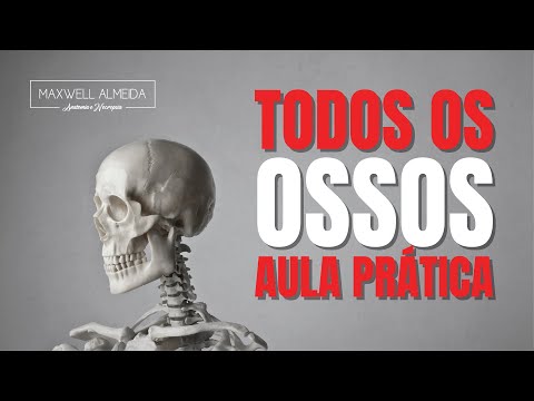 Vídeo: Onde está a localização dos ossos em forma de crescente no corpo humano?