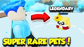 I Caught INSANELY RARE SHINY AND LEGENDARY PETS in Pet Catchers!! by RussoPlays 34,843 views 1 month ago 16 minutes