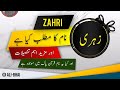 ZAHRI Name Meaning In Urdu Islamic Baby Boy Name Ali Bhai 