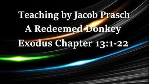 Jacob Prasch A Redeemed Donkey January 04 2016 – Andrew R