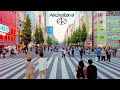 4K 秋葉原ホコ天 アキバ歩行者天国 電気街 散歩 2022年10月23日 東京