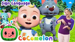 dance freeze when song stops cocomelon nursery rhymes learn