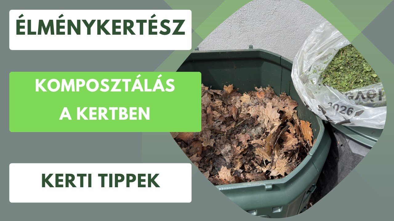 Komposztálás titka: Hőmérséklet, nedvesség, arányok és mikroorganizmusok🦠