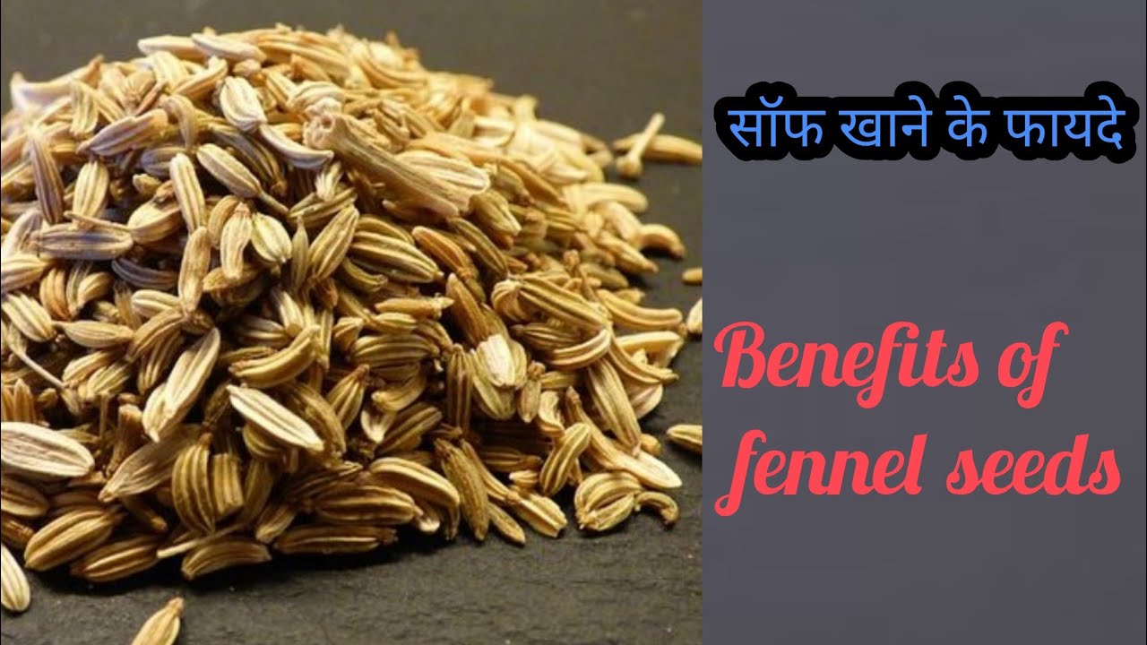 Sof khane ke fayde, benefits of fennel seeds, atozindia, 