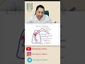 Bronchi vs Bronchioles | Life Processes | Chapter 01 | Class 10th | By Pallavi Kohli