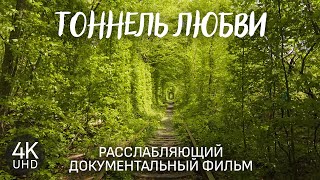 Тоннель Любви, Клевань - Расслабляющий документальный фильм про одно из чудес природы в Украине