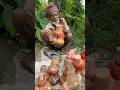 ২লক্ষ টাকার ওলকচু নাকি দেড় বিঘায় #agriculture #farmers #elephantfootyam