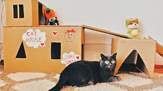 ДОМ для кошки с РЕЛАКСОМ  🐈 из картона своими руками How to make Amazing Kitten Cat Pet Hou