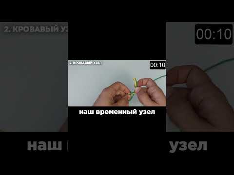 Кровавый узел