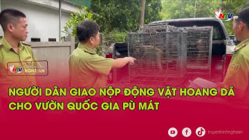 Người dân giao nộp động vật hoang dã cho vườn quốc gia Pù Mát