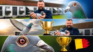 🏆 Team Eijerkamp Wins 1st National Argenton Against 15,386 Pigeons | Belgian Dream