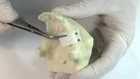 Jason Membrane - Pinning & Strength Test