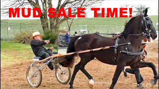 AMISH LAND MUD SALE 2024 RAWLINSVILLE Volunteer Fire Company Mud Sale Lancaster County, PA