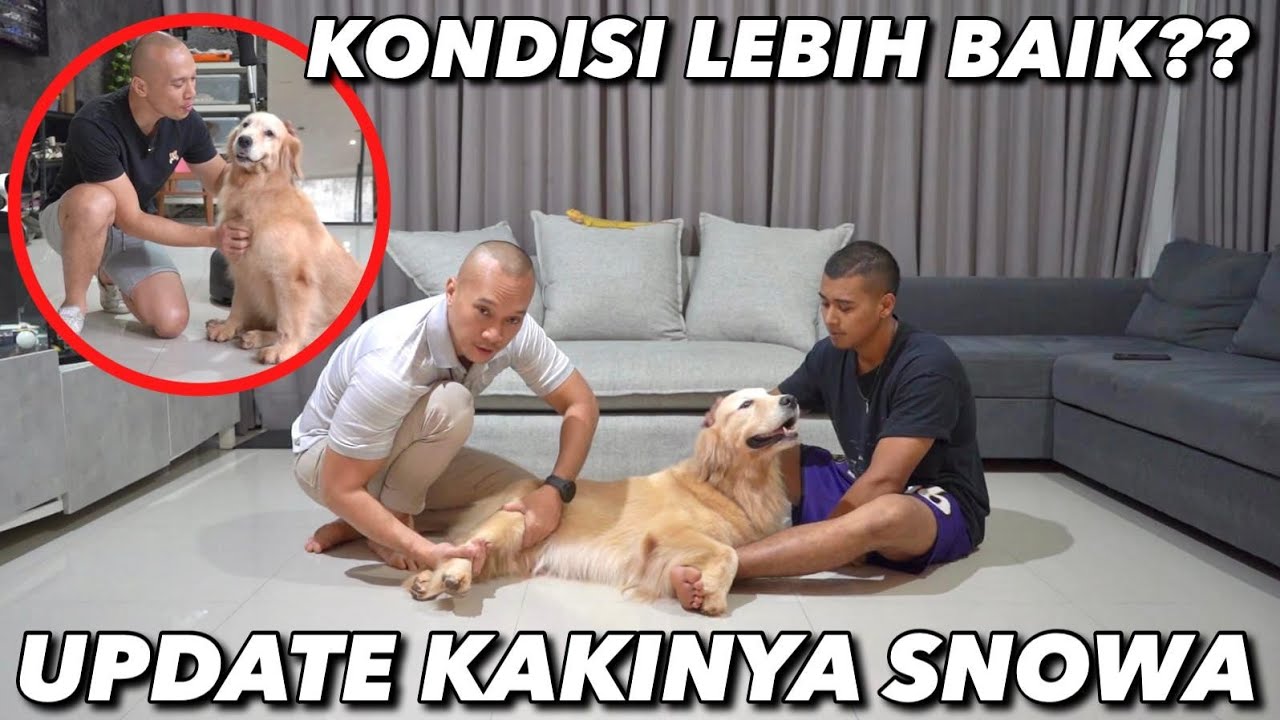 SEDIH LIHAT KONDISI SNOWA 😭