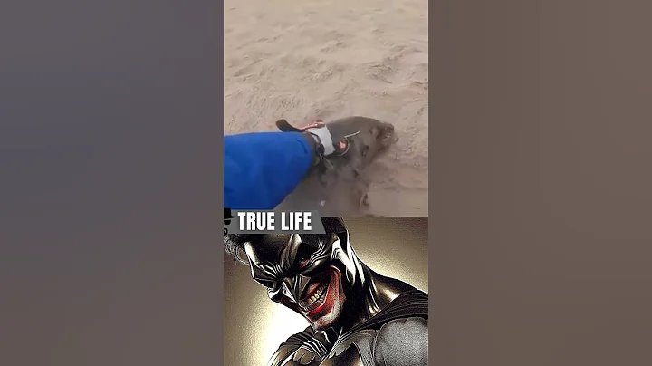 Real life hero #shorts #memes #starman #animals #wholesome #kindness #viralvideo