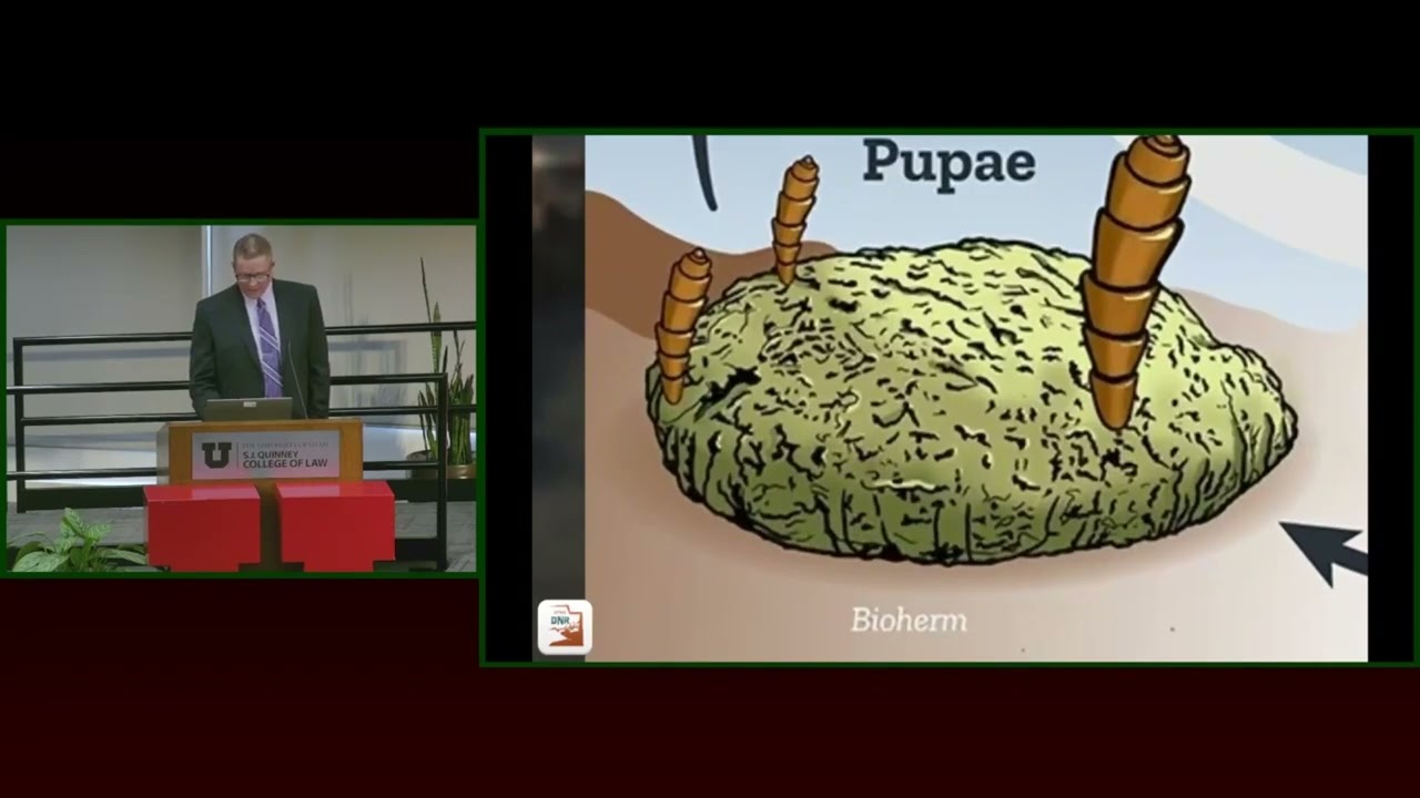 Stegner Center Symposium   Luft