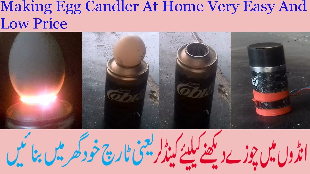 Simple Cheap Homemade Egg Candler 