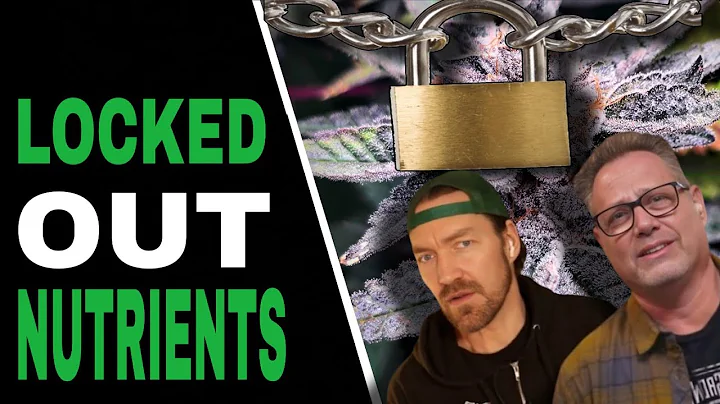 How to Spot and Fix Nutrient Lockout Issues in Your Cannabis Plants