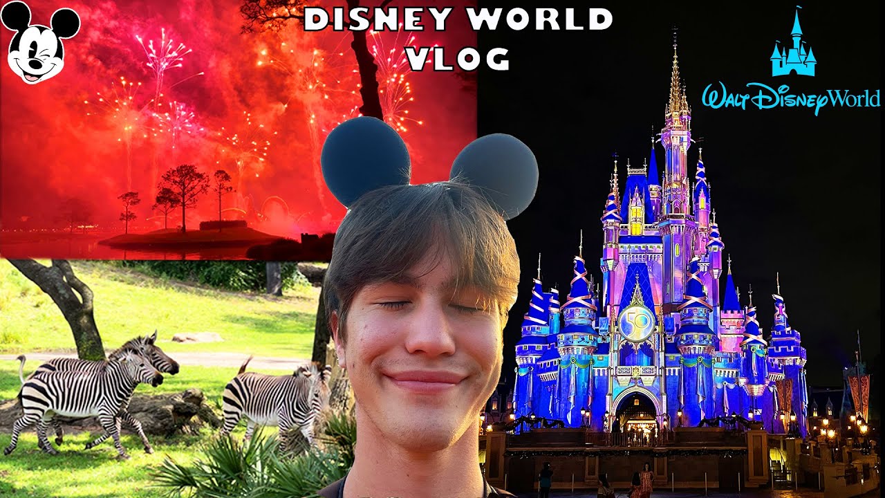 Traveling To DISNEY WORLD Disney Magic Kingdom Animal Kingdom traveling-to-disney-world-disney-magic-kingdom-animal-kingdom