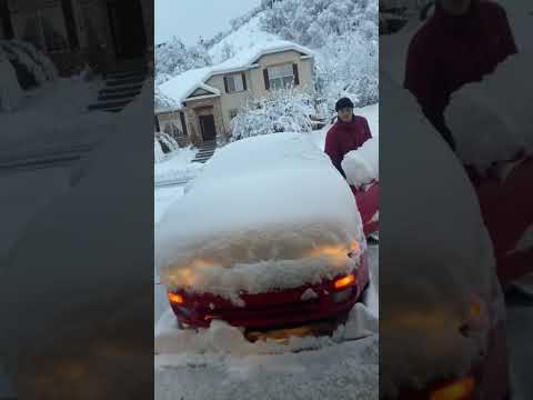 На подержанном авто Я уеду далеко #shorts  #subbota #юмор #приколы