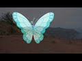 Butterfly Monitoring on St Helena