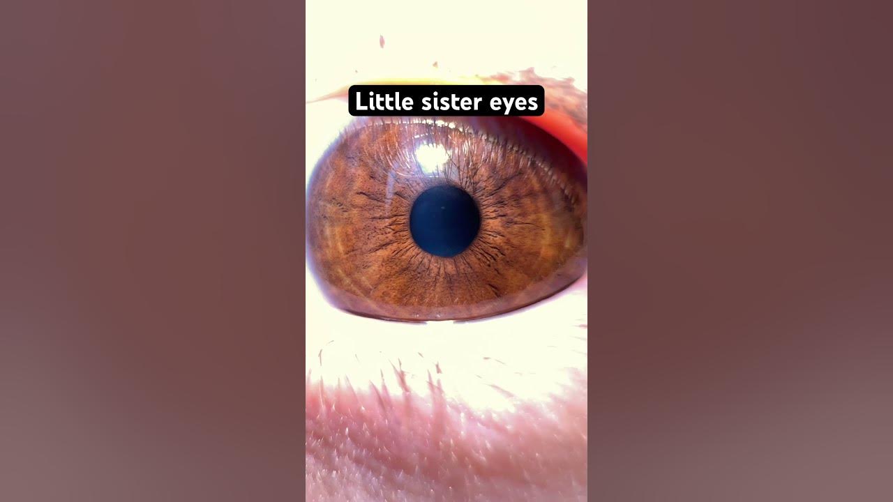 And my mom has plain brown eyes #asian #wasian #america #eyes #hazel #blue #brown #viral