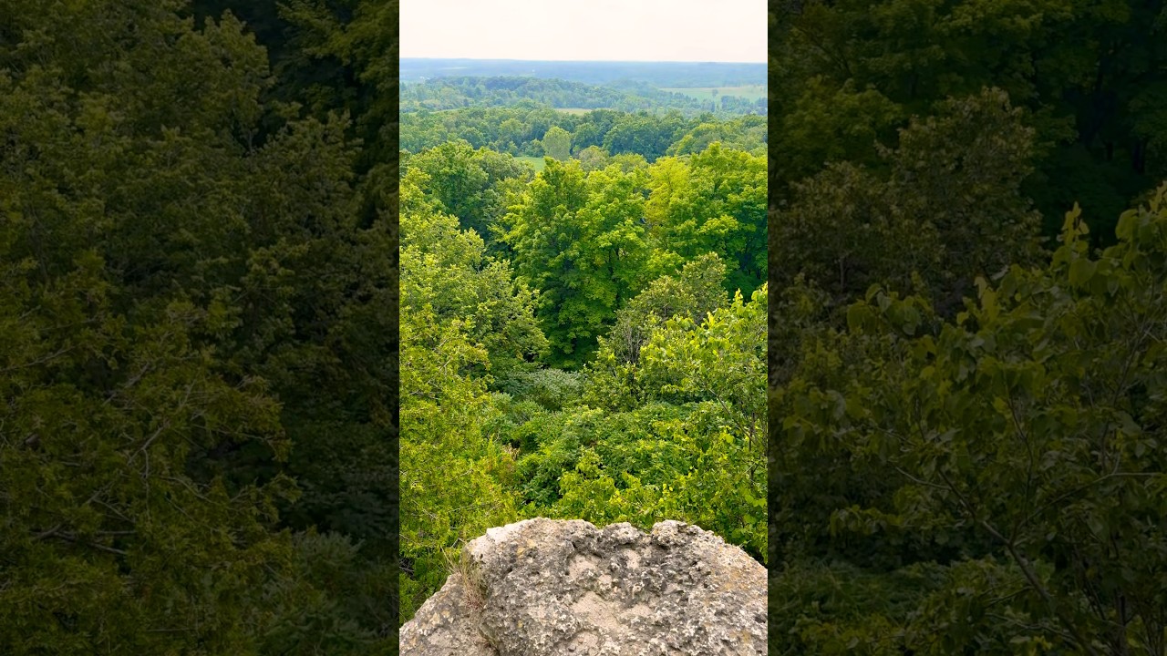 Peaceful Forest View from the Rock Cliff 🌲 Nature Escape
