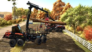 🌲🌞 ecological subdivision 2 🌞🌲