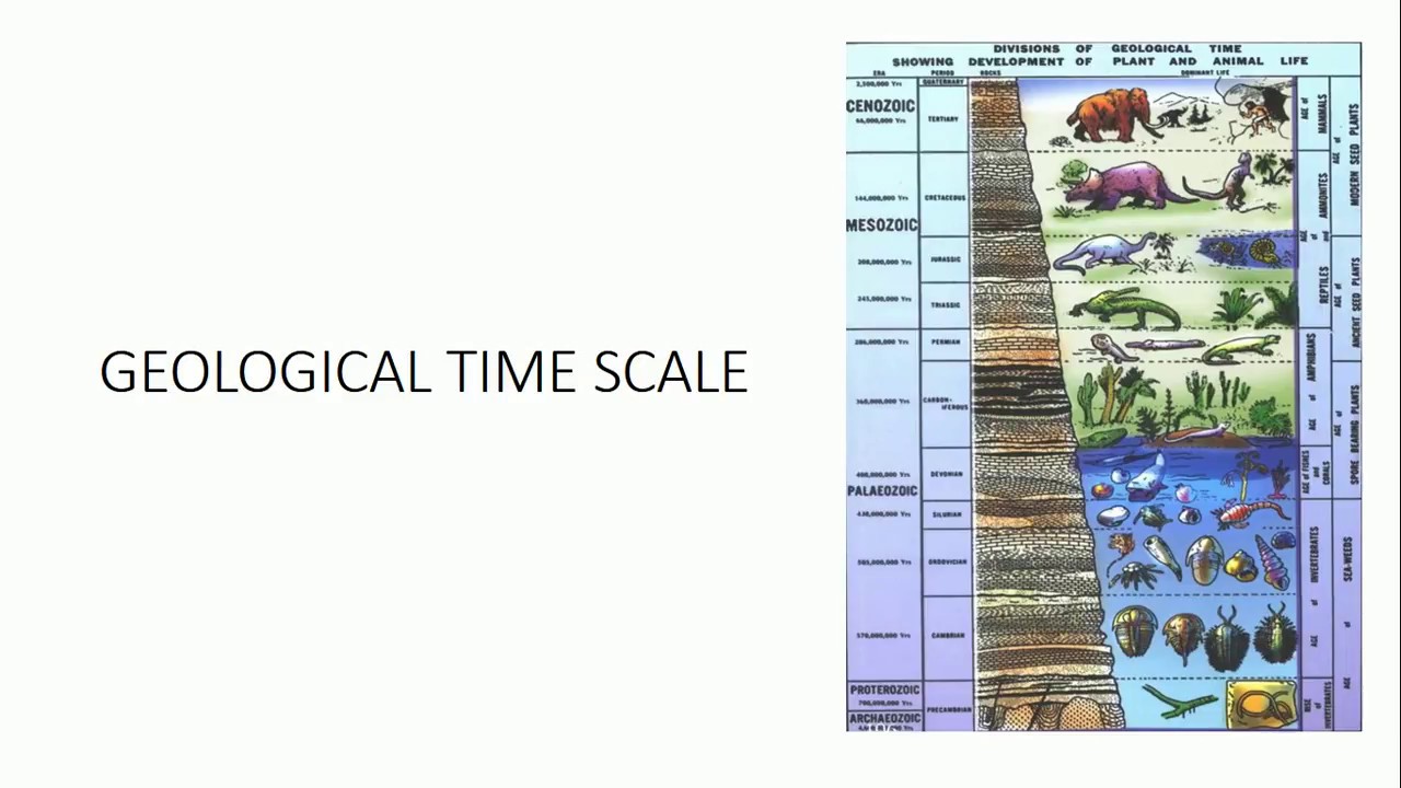 Geological Time Table Chart