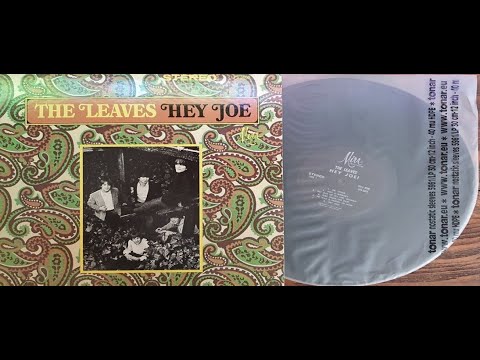 The Leaves Hey Joe 1966American garage folk rock - YouTube