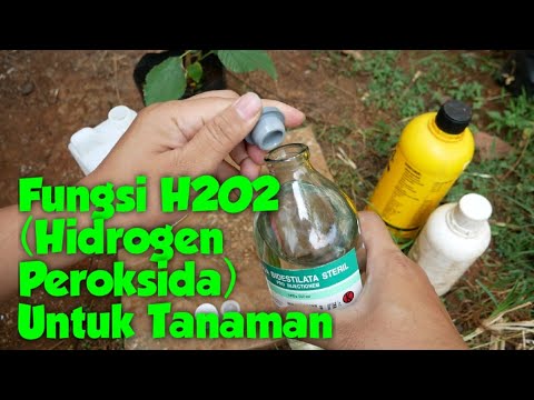 Video: Bagaimana Anda membagi h2o?