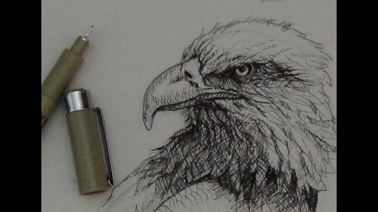 Pen & Ink Tutorial | How to draw an eagle head - YouTube