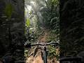 POV: cycling in Tropical jungle River Path #bikeride #cycling #pov #viral #shorts